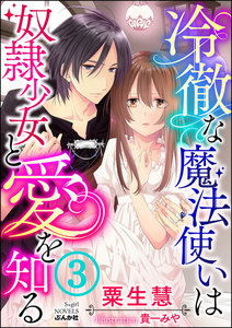 冷徹な魔法使いは奴隷少女と愛を知る