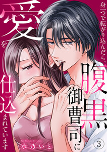 身一つで転がり込んだら、腹黒御曹司に愛を仕込まれています (3) 電子書籍版