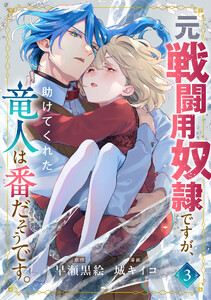 元戦闘用奴隷ですが、助けてくれた竜人は番だそうです。 (3)【限定特典イラスト付】