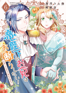 竜陛下のお妃はお断りしたい!～竜陛下は10番目の側妃を溺愛中～【特典ペーパー付き】 (6)