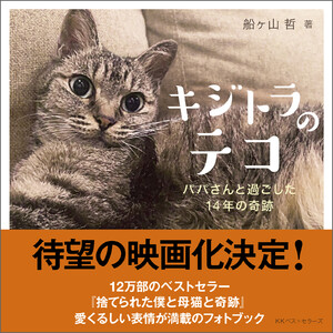 キジトラのテコ パパさんと過ごした14年の奇跡