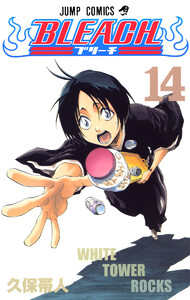 BLEACH カラー版 (14) 電子書籍版