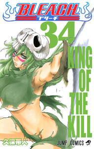 BLEACH カラー版 (34) 電子書籍版
