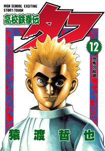 高校鉄拳伝タフ (12) 電子書籍版