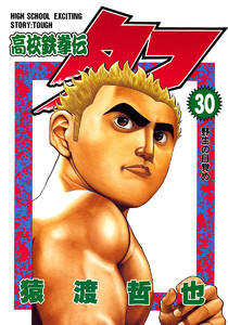 高校鉄拳伝タフ (30) 電子書籍版