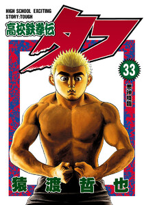 高校鉄拳伝タフ (33) 電子書籍版
