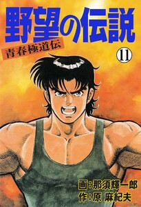 野望の伝説―青春極道伝― (11～15巻セット) 電子書籍版
