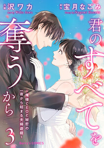 君のすべてを奪うから～俺様CEOと秘密の一夜から始まる夫婦遊戯～3巻 電子書籍版