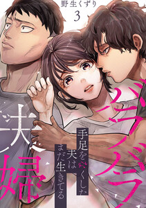 バラバラ夫婦～手足をなくした夫はまだ生きてる【電子単行本版】 (3)