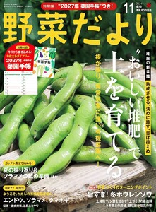 野菜だより 2026年11月号