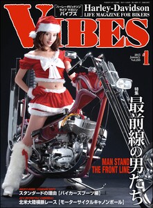 VIBES【バイブズ】2015年1月号 電子書籍版