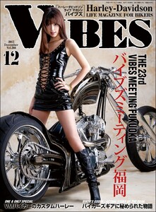VIBES【バイブズ】2015年12月号 電子書籍版