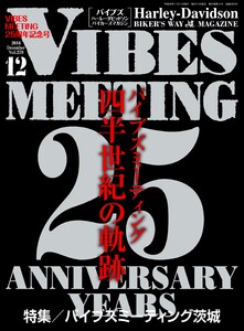 VIBES【バイブズ】2016年12月号 電子書籍版