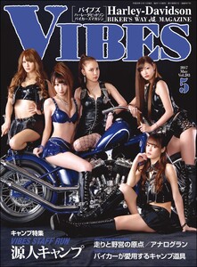 VIBES【バイブズ】2017年5月号 電子書籍版