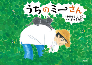 うちのミーさん