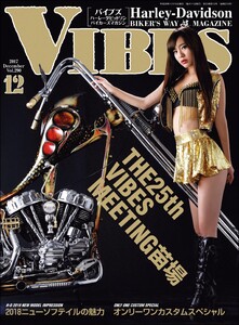 VIBES【バイブズ】2017年12月号 電子書籍版