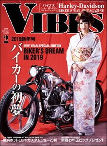 VIBES【バイブズ】2019年2月号 電子書籍版