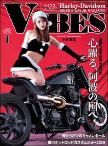 VIBES【バイブズ】2020年1月号 電子書籍版