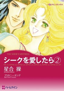 シークを愛したら 2 (分冊版)10話 電子書籍版