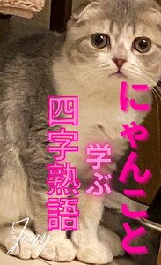 にゃんこと学ぶ四字熟語(1)