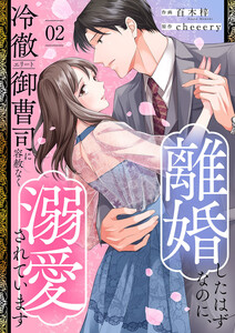 離婚したはずなのに、冷徹エリート御曹司に容赦なく溺愛されています【電子単行本版】 (2) 電子書籍版