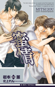 蜜情【イラスト入り】 電子書籍版