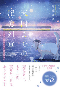 天国までの記憶列車～もう一度あなたに会えたら～