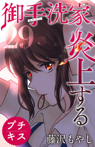 御手洗家、炎上する プチキス