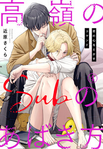 高嶺のSubのあばき方～君の心をとかすコマンド～ (4) 電子書籍版