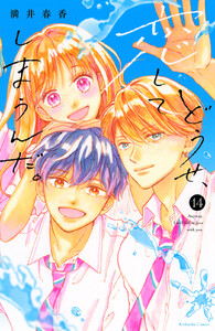 どうせ、恋してしまうんだ。 (14)