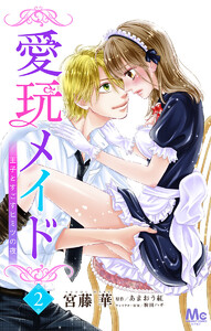 愛玩メイド 王子とすごすヒミツの夜 (2) 電子書籍版