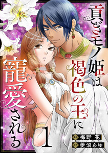 貢ぎモノ姫は褐色の王に寵愛される 1巻