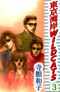 東京湾岸 WILD CATS (3) 電子書籍版