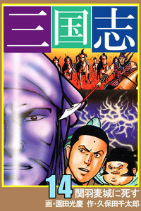 三国志 (14) 電子書籍版
