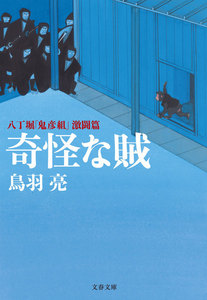 奇怪な賊 八丁堀「鬼彦組」激闘篇 電子書籍版