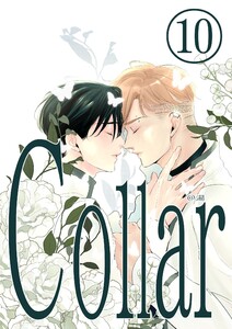 Collar (10)セーフティ