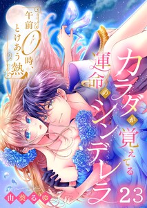 午前0時、とけあう熱～カラダが覚えてる運命のシンデレラ(23)
