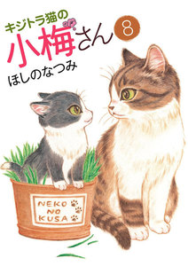 キジトラ猫の小梅さん(8) 電子書籍版