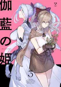 伽藍の姫 -がらんのひめ- (3)【イラスト特典付】 電子書籍版