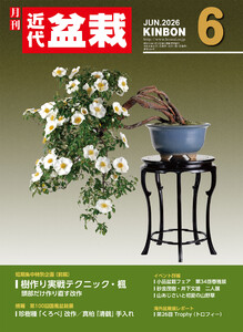 近代盆栽2026年6月号