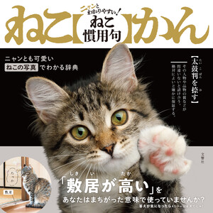 ニャンとわかりやすい! ねこ慣用句 ねこかん