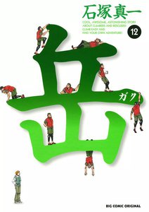 岳 (12) 電子書籍版