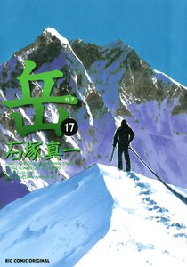 岳 (17) 電子書籍版