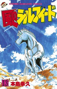 風のシルフィード (13) 電子書籍版