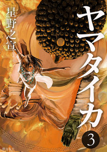 ヤマタイカ (3) 電子書籍版