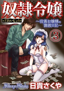 奴隷令嬢~没落お嬢様の調教日記~(分冊版)