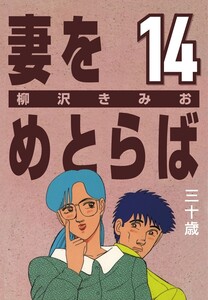 妻をめとらば (14) 三十歳 電子書籍版