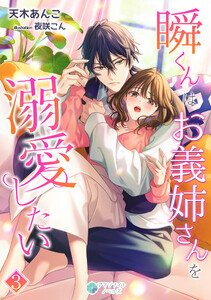 瞬くんはお義姉さんを溺愛したい(3) 電子書籍版