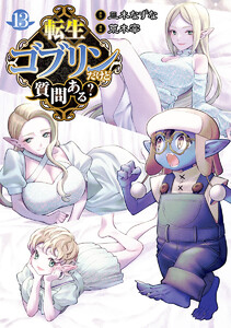 転生ゴブリンだけど質問ある? (13) 電子書籍版