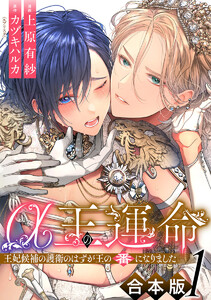 【合本版】α王の運命~王妃候補の護衛のはずが王の番になりました~ (1) 電子書籍版